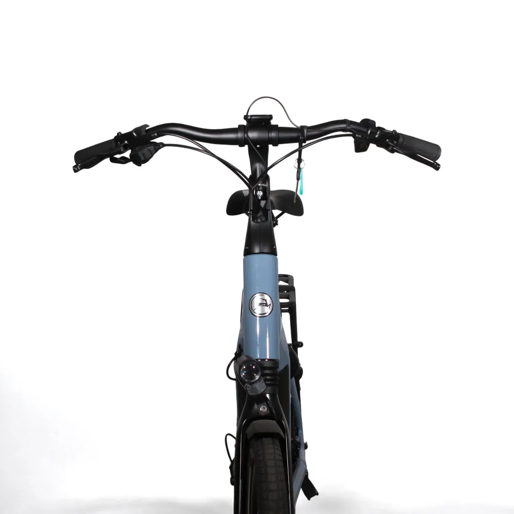 Vélo électrique Gazelle Chamonix T10