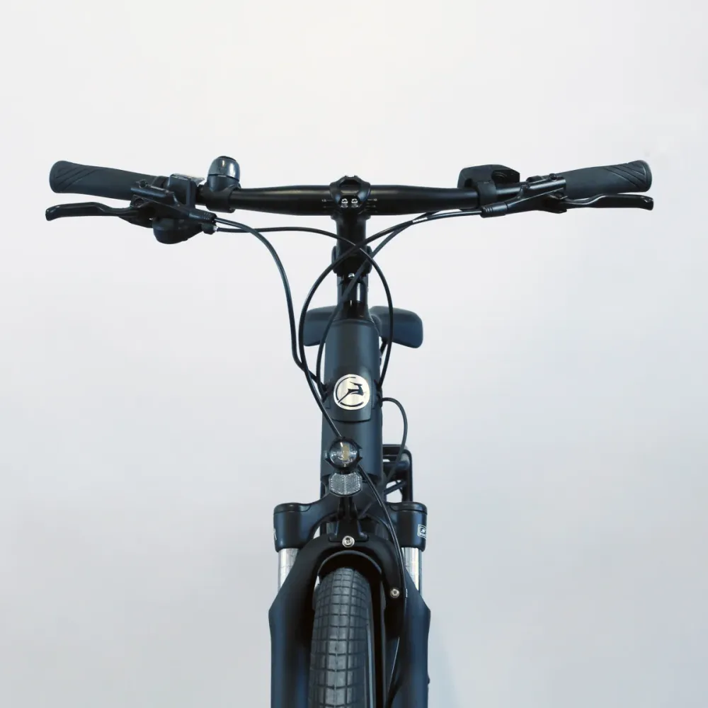 Vélo électrique Gazelle Medeo T9 HMB noir