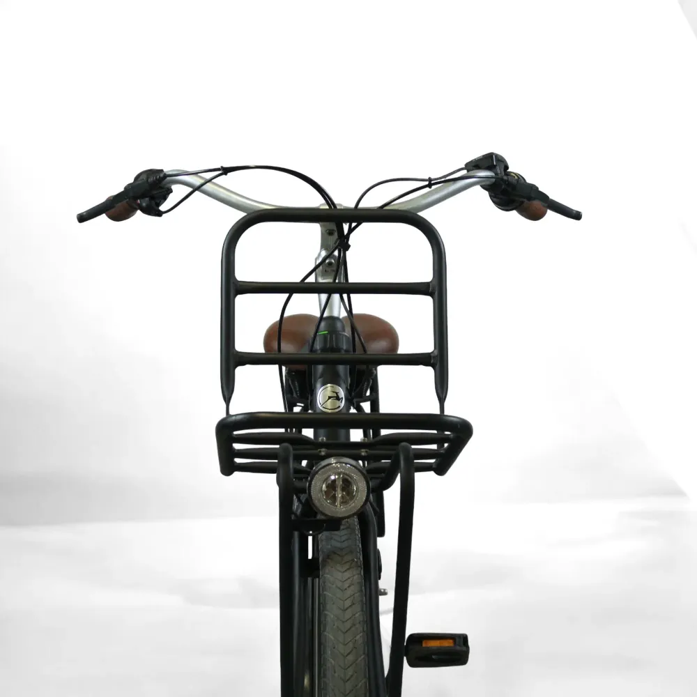 Vélo électrique Gazelle Miss Grace HMB