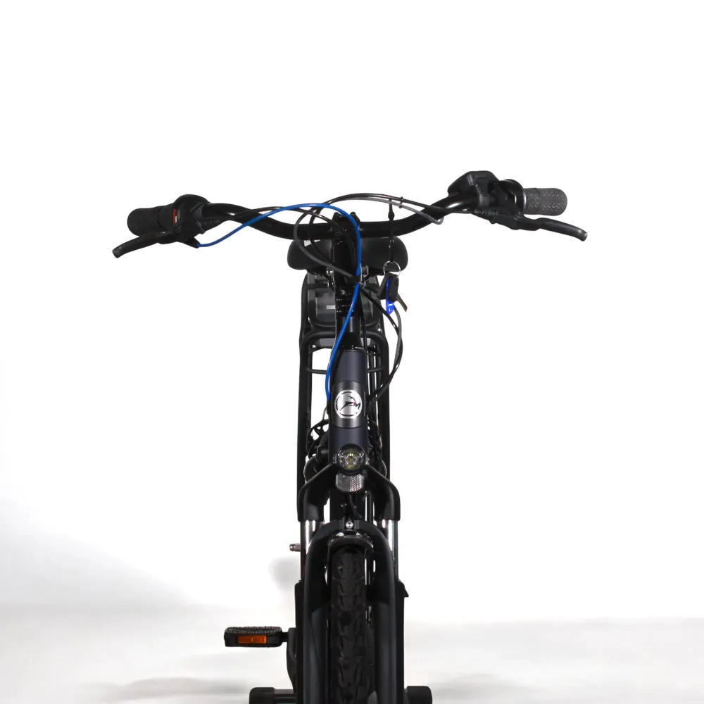 Vélo électrique Gazelle Paris C7