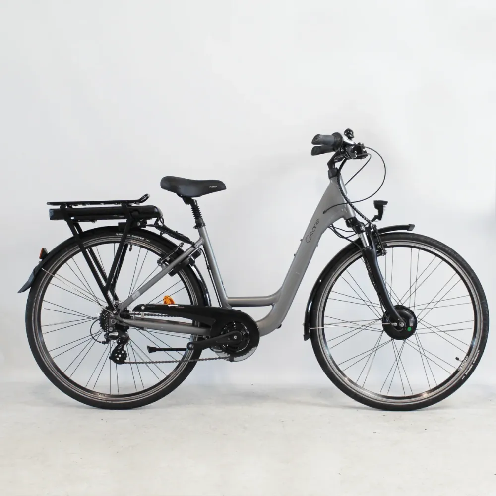 Vélo électrique Gitane Organ'E bike gris