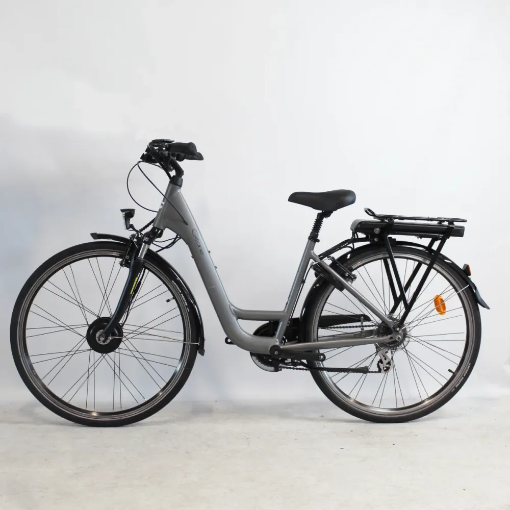 Vélo électrique Gitane Organ'E bike gris