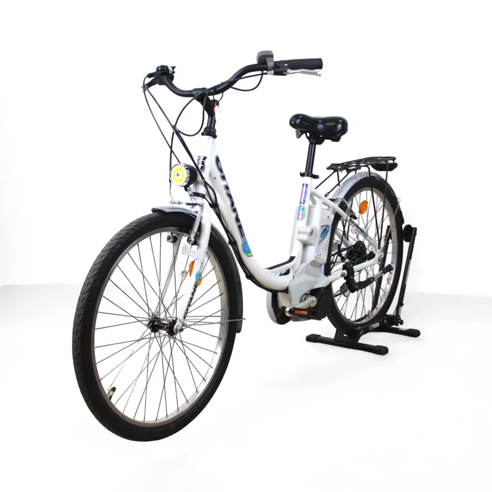 Vélo électrique Gitane Real Bike