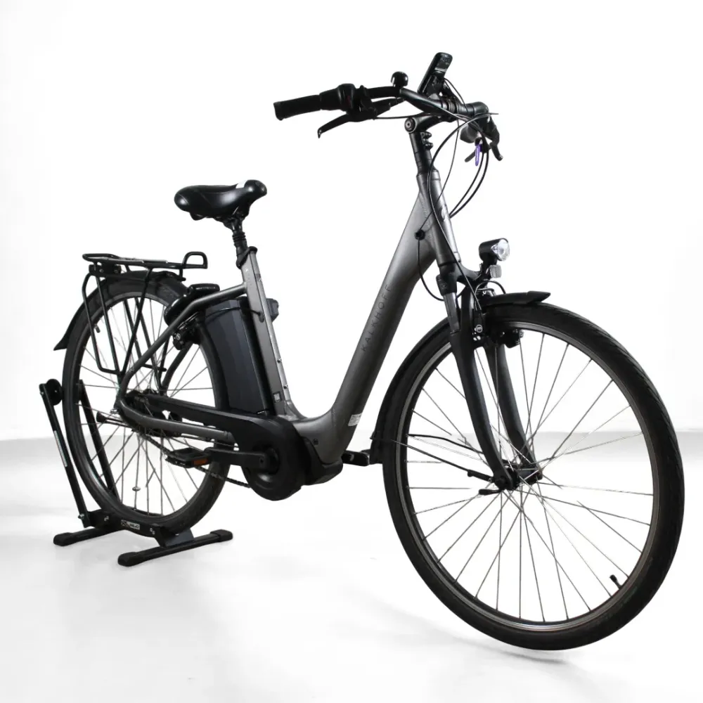 Vélo électrique Kalkhoff Agattu 1.S Move