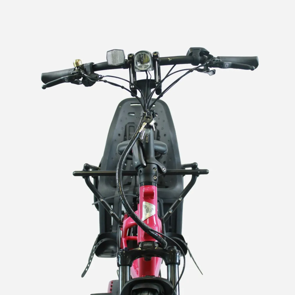 Vélo électrique Longtail Tern GSD S10