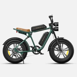 Vélo électrique M20 Dual