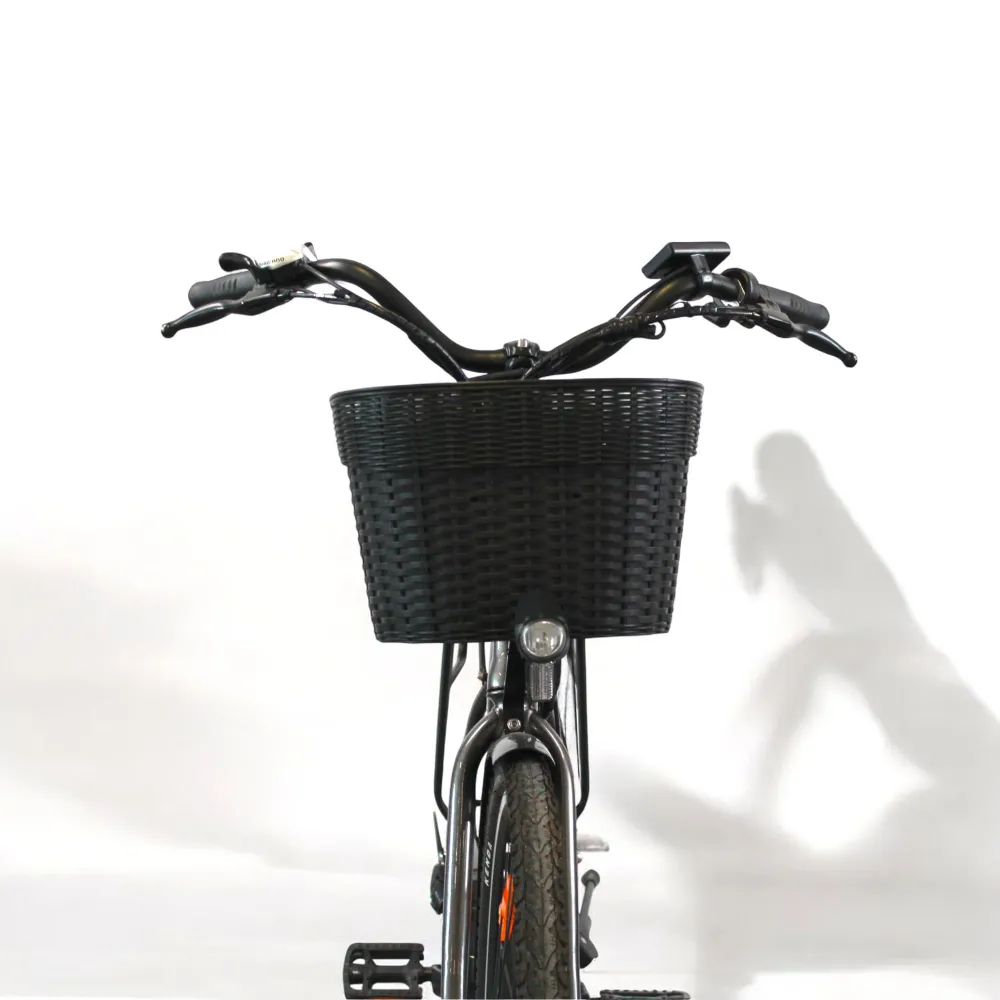 Vélo électrique Moovway Sunday
