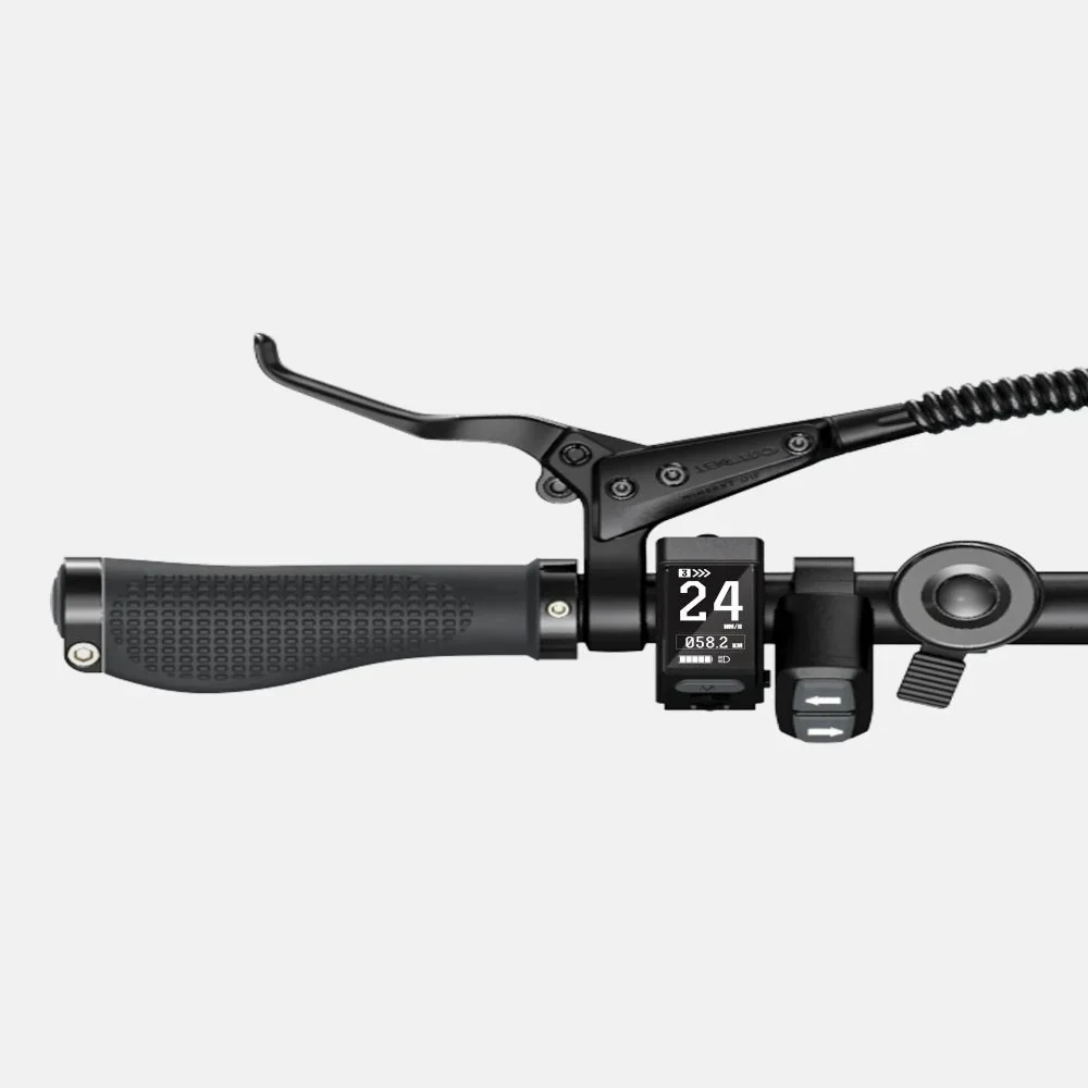 Vélo Électrique Pliant ENGWE P20 - Pneus 20 Pouces Moteur 250W Batterie 36V9.6Ah Autonomie 100KM - Noir