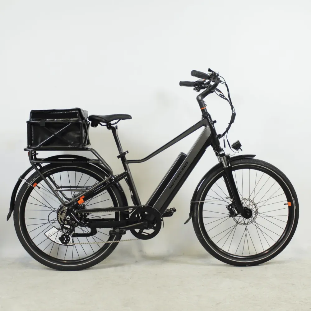 Vélo électrique Rad Power Bikes RadCity 5 Plus + accessoires noir