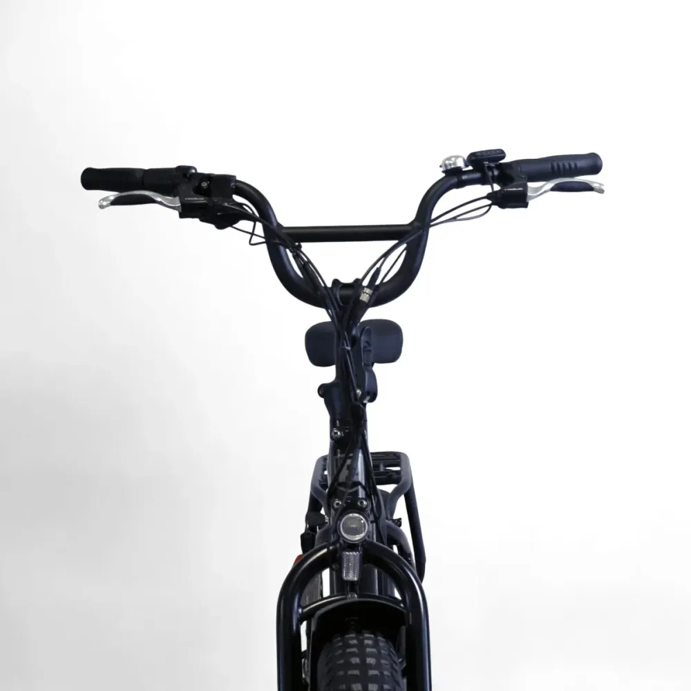 Vélo électrique Rad Power Bikes RadExpand 5 noir