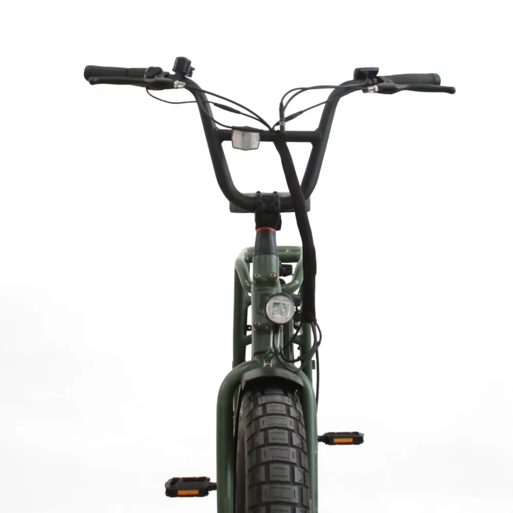 Vélo électrique Rad Power Bikes RadRunner Vert