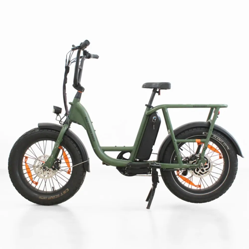 Vélo électrique Rad Power Bikes RadRunner Vert