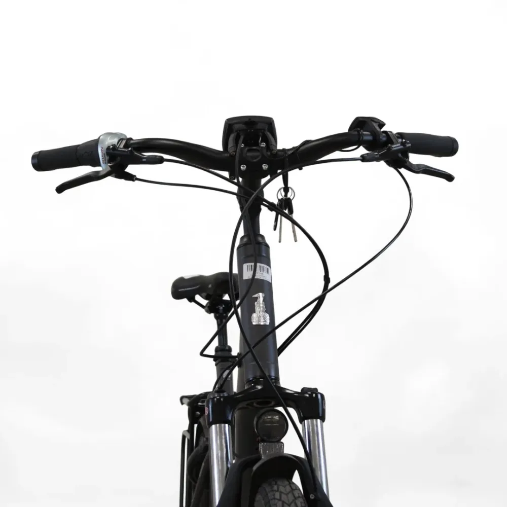 Vélo électrique Raleigh Kingston 8