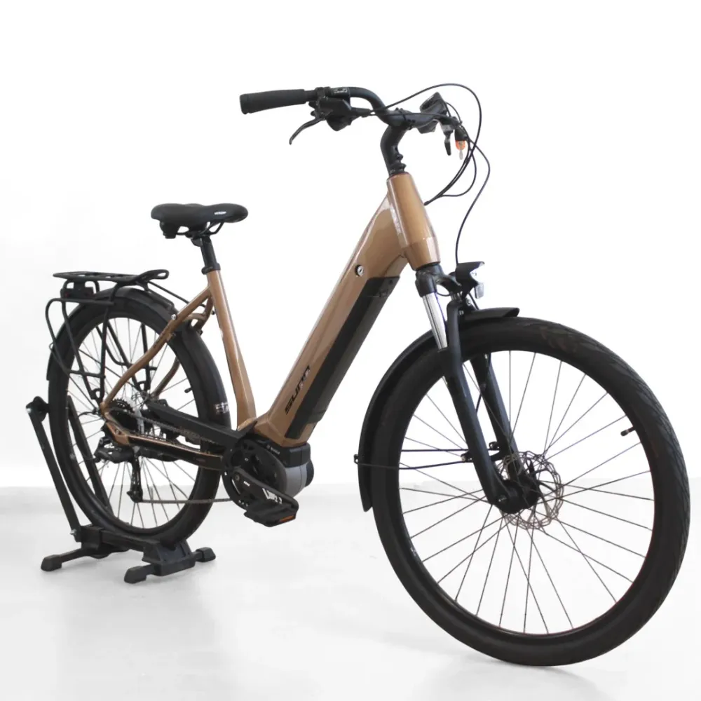 Vélo électrique Sunn Skill
