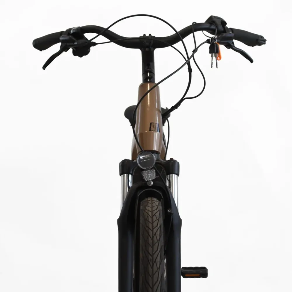 Vélo électrique Sunn Skill