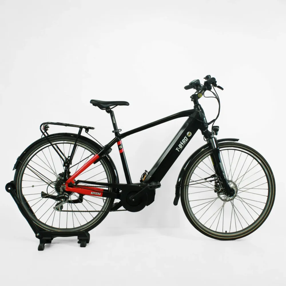 Vélo électrique T-bird Rivera