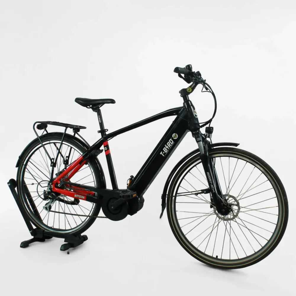 Vélo électrique T-bird Rivera