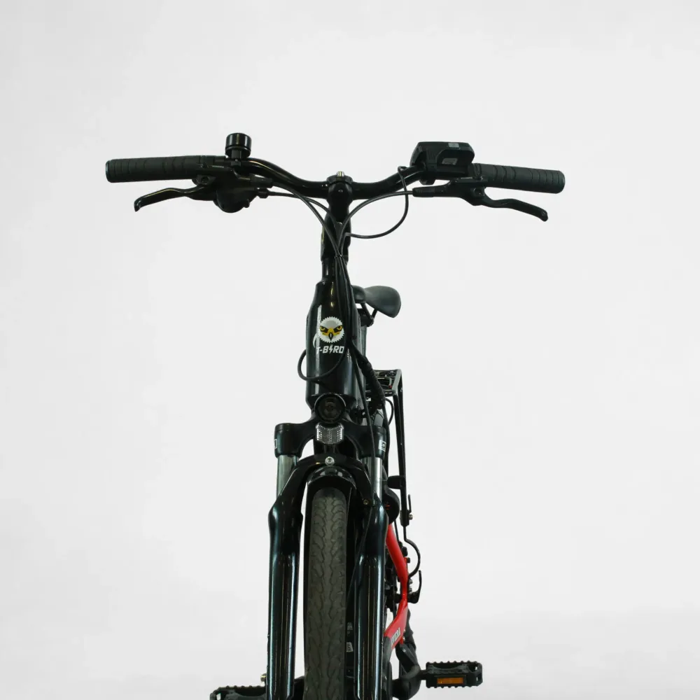 Vélo électrique T-bird Rivera