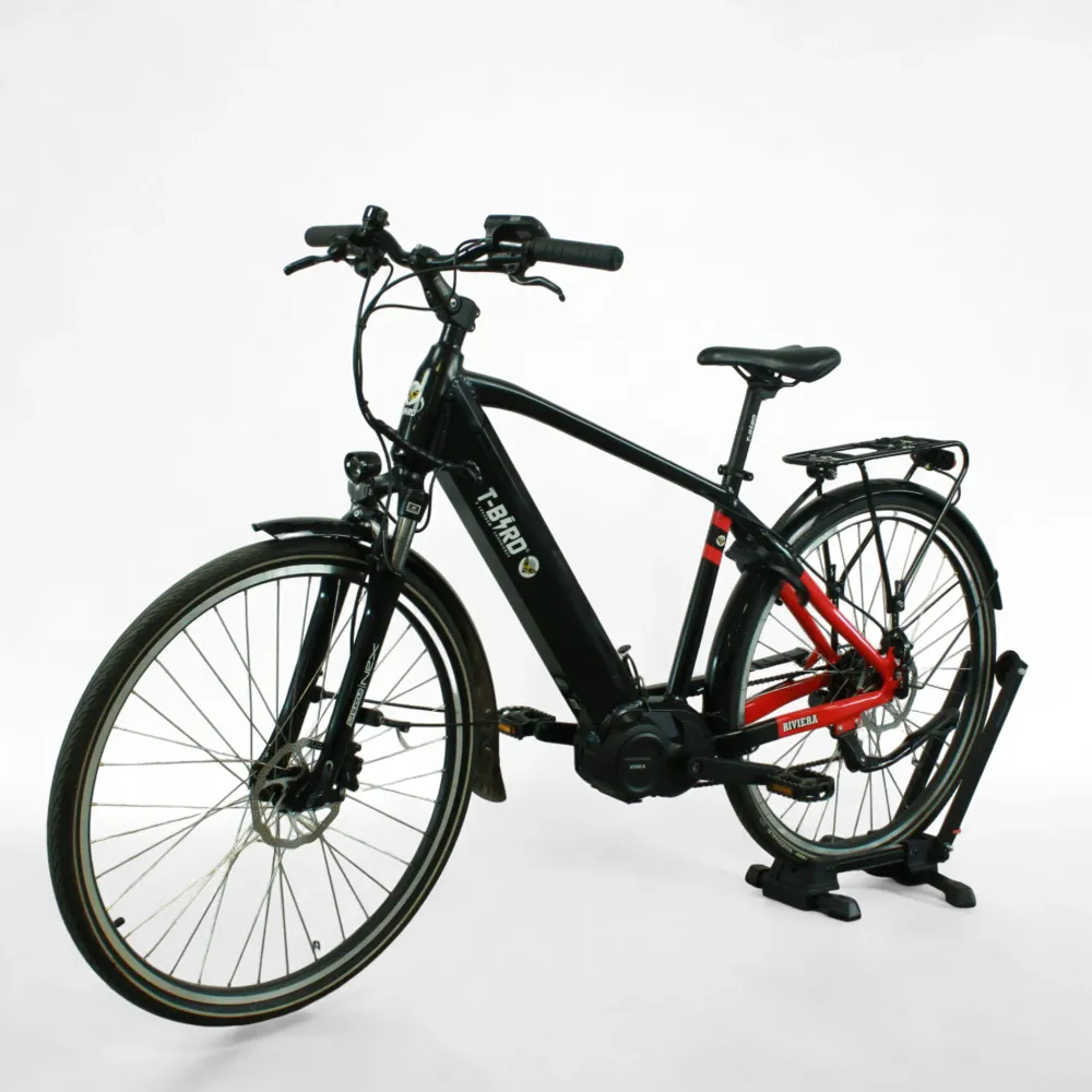 Vélo électrique T-bird Rivera