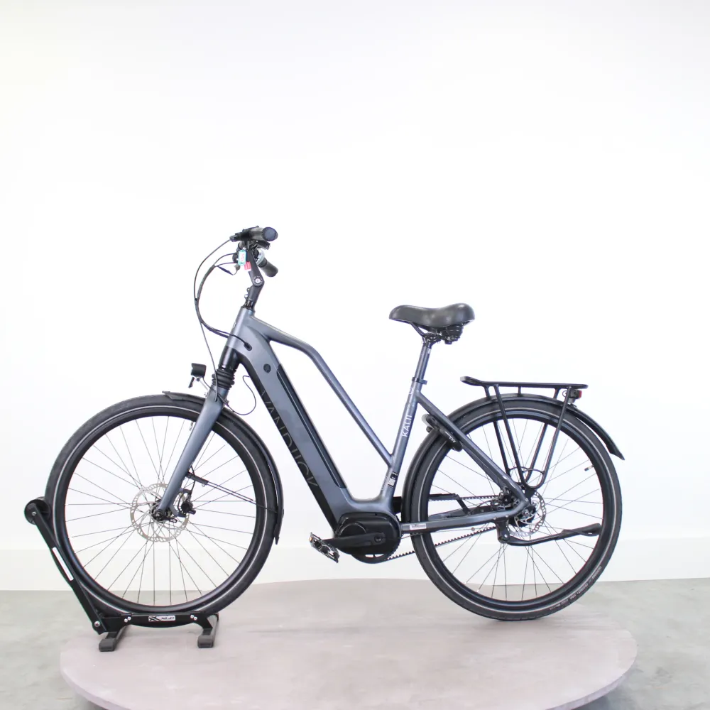 Vélo électrique VanDijck Kalit belt