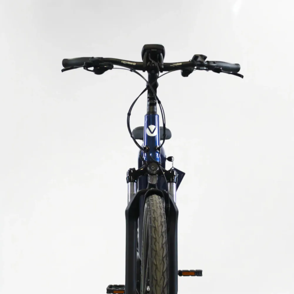 Vélo électrique Vélo de ville AEB 490 bleu