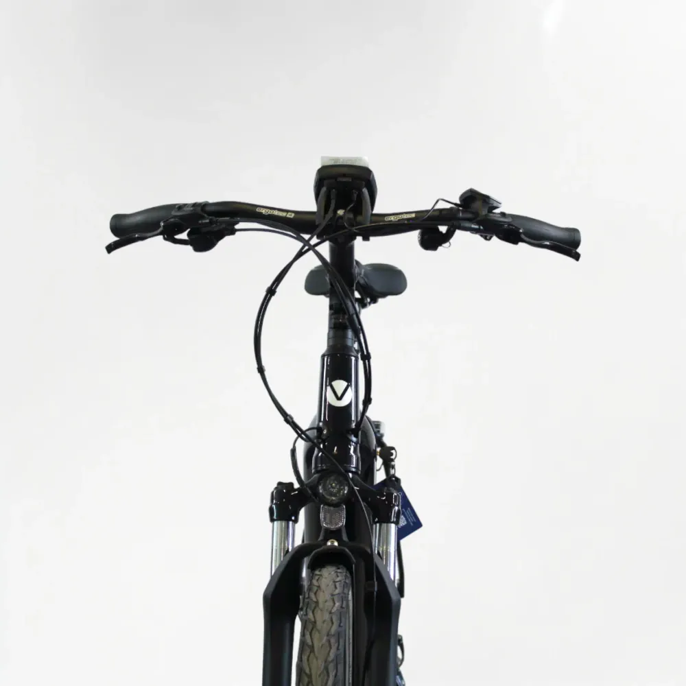 Vélo électrique Vélo de ville AEB 800 noir