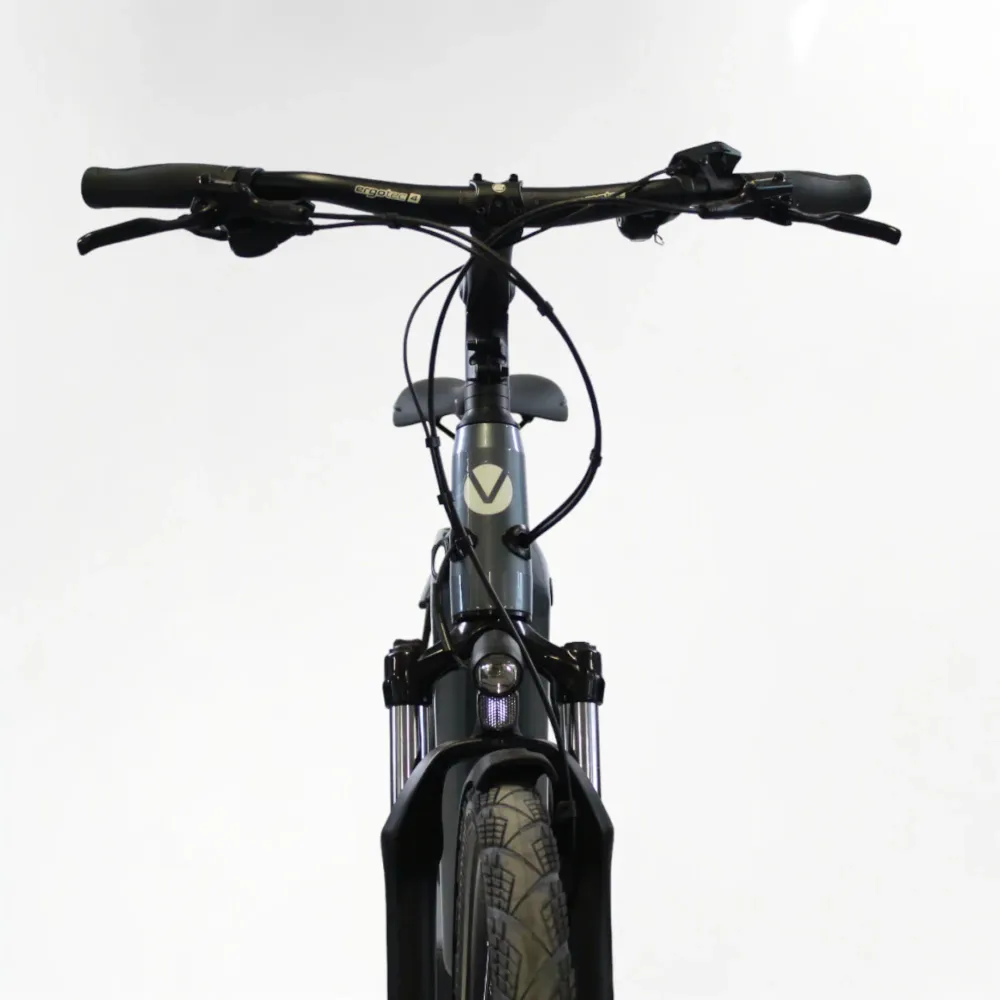 Vélo électrique Vélo de ville AEB 890