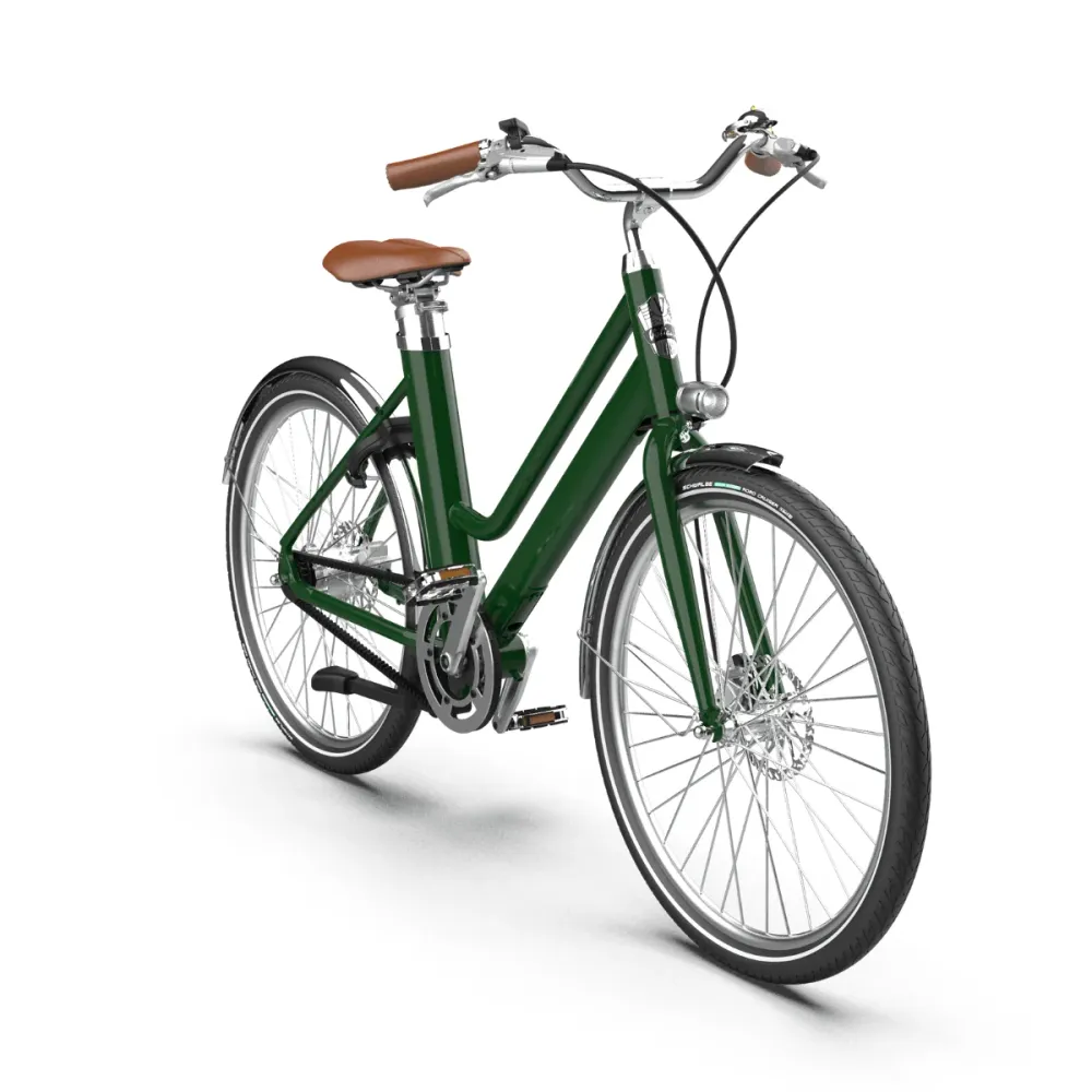Vélo électrique Voltaire Bellecour vert