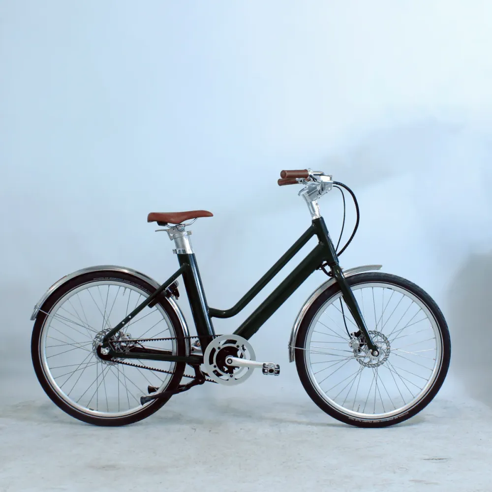 Vélo électrique Voltaire Courcelles vert