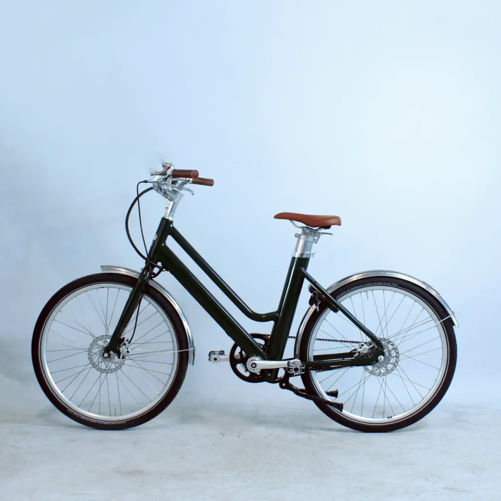 Vélo électrique Voltaire Courcelles vert