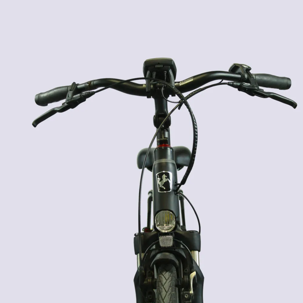 Vélo électrique Winora Sinus ENA90