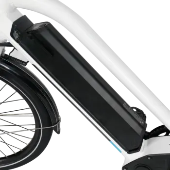 VéloCargo électrique Green Pedel GP-C1
