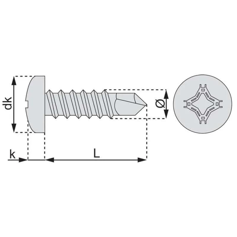 Vis - Ø 4.8 mm - autoperceuse tête cylindrique empreinte phillips acier zingue blanc par Performance